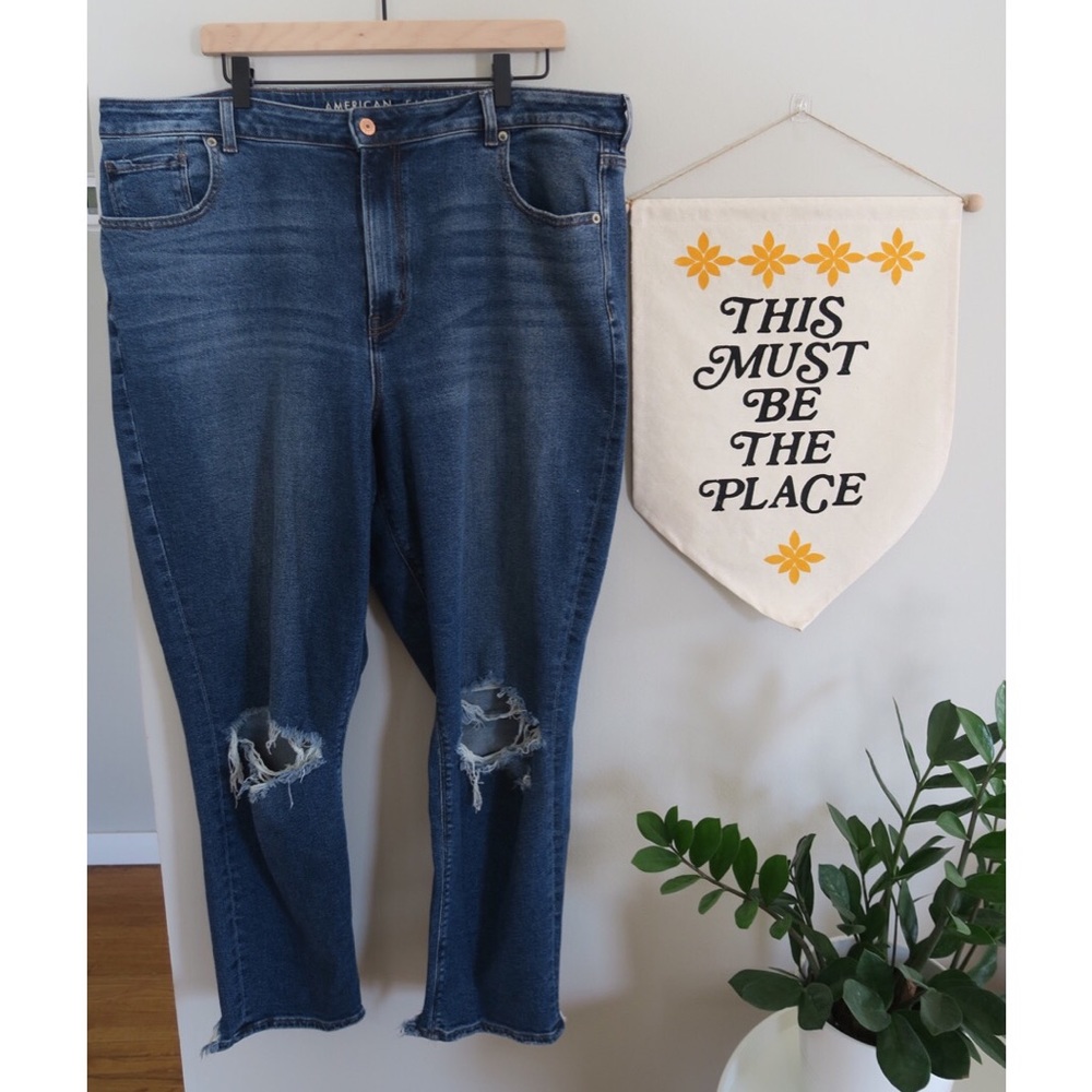 American Eagle Stretch Curvy Mom Jean